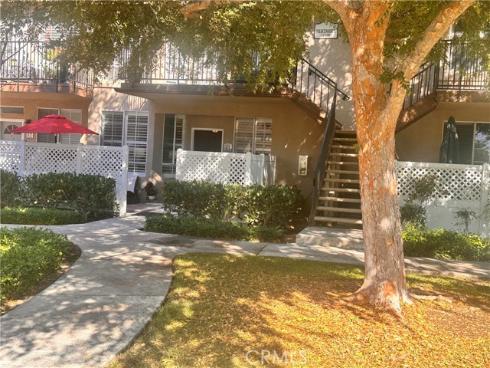 21  Silktassel  , Rancho Santa Margarita, CA