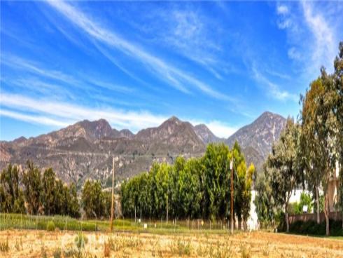 21  Silktassel  , Rancho Santa Margarita, CA