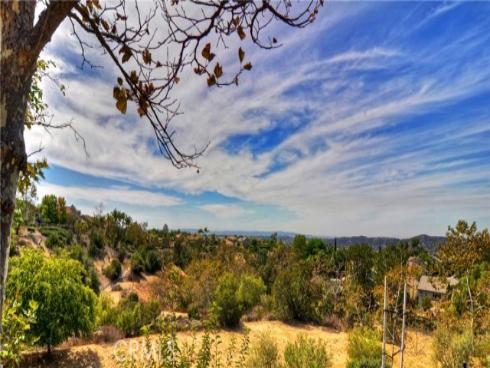 21  Silktassel  , Rancho Santa Margarita, CA