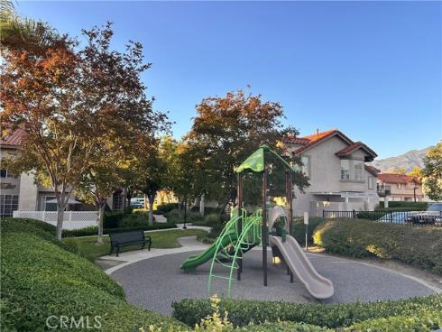 21  Silktassel  , Rancho Santa Margarita, CA