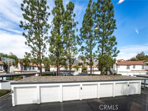 6  Dianthus  , Rancho Santa Margarita, CA