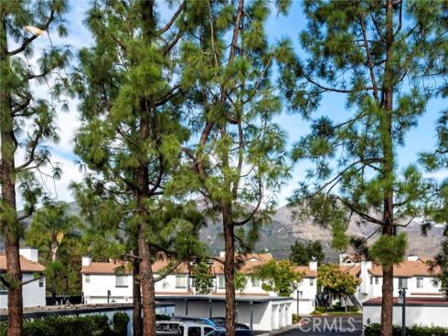 6  Dianthus  , Rancho Santa Margarita, CA