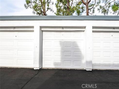 6  Dianthus  , Rancho Santa Margarita, CA