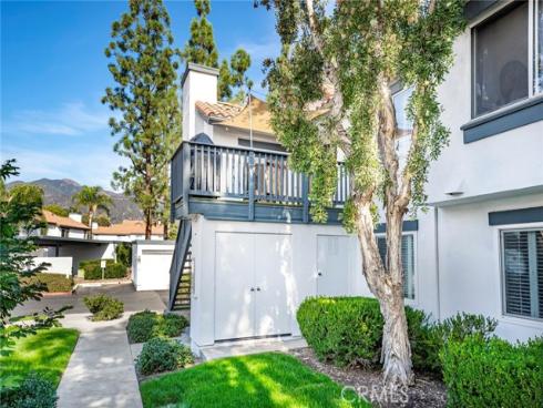 6  Dianthus  , Rancho Santa Margarita, CA