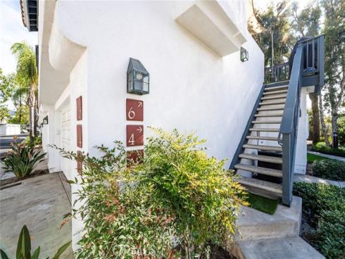 6  Dianthus  , Rancho Santa Margarita, CA