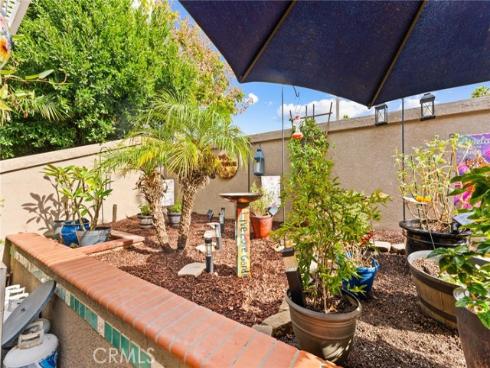 24  Morning Glory  , Rancho Santa Margarita, CA