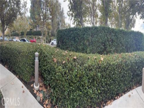 26  Leonado  , Rancho Santa Margarita, CA