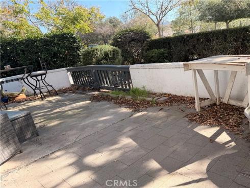 46  Celosia  , Rancho Santa Margarita, CA