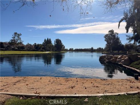 46  Celosia  , Rancho Santa Margarita, CA