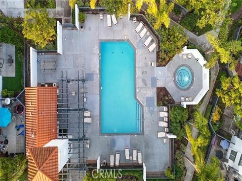 46  Celosia  , Rancho Santa Margarita, CA