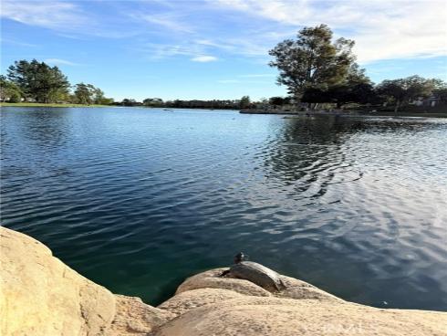 46  Celosia  , Rancho Santa Margarita, CA