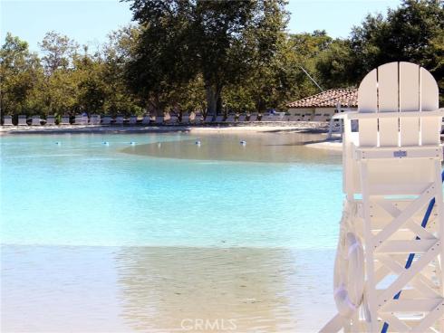 46  Celosia  , Rancho Santa Margarita, CA