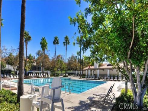 46  Celosia  , Rancho Santa Margarita, CA