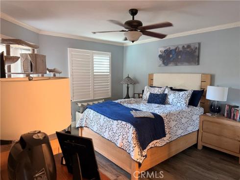 46  Celosia  , Rancho Santa Margarita, CA