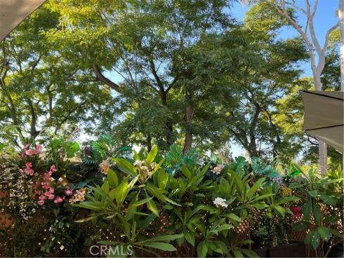 81 Pasto Rico , Rancho Santa Margarita, CA