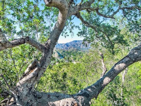 273  Montana Del Lago  , Rancho Santa Margarita, CA