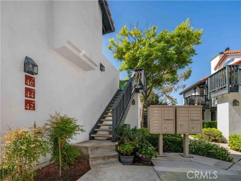 46  Dianthus  , Rancho Santa Margarita, CA