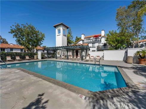 46  Dianthus  , Rancho Santa Margarita, CA