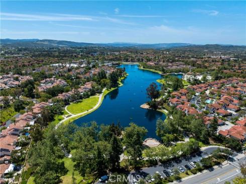 46  Dianthus  , Rancho Santa Margarita, CA