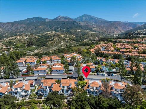 46  Dianthus  , Rancho Santa Margarita, CA