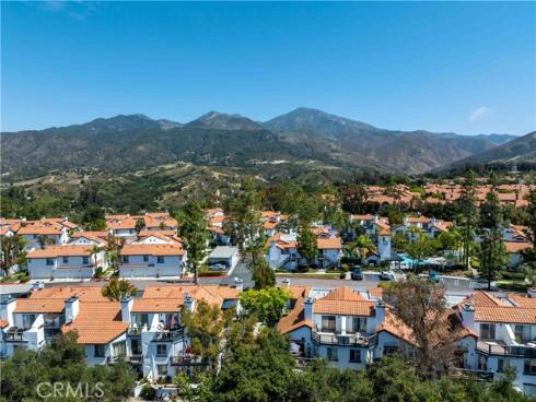46  Dianthus  , Rancho Santa Margarita, CA