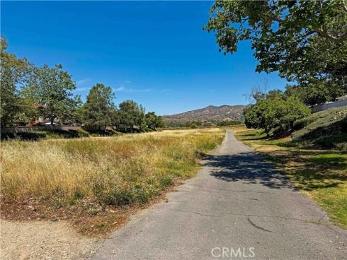 46  Dianthus  , Rancho Santa Margarita, CA