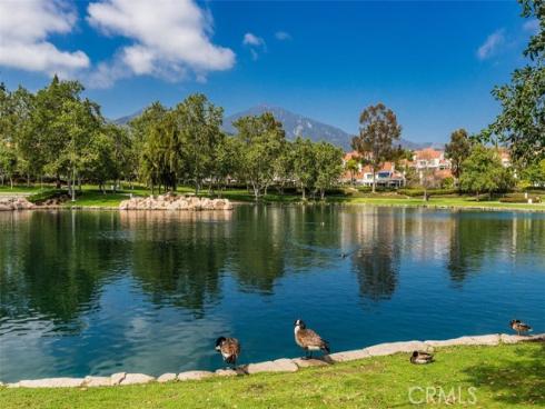 6 Calendula , Rancho Santa Margarita, CA
