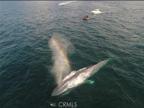 33 Calle Prospero , San Clemente, CA