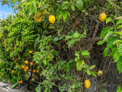 625 Calle Miguel , San Clemente, CA