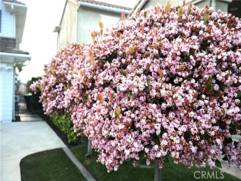 4505 Cresta Babia , San Clemente, CA