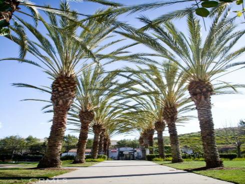 6312 Camino Marinero , San Clemente, CA