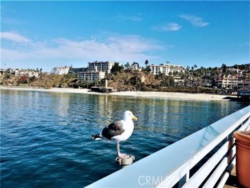 3520 Paseo Flamenco , San Clemente, CA