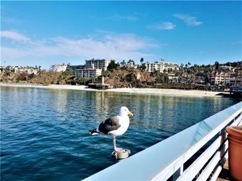 40 Paseo Alba , San Clemente, CA