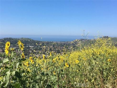 2515  Costero Magestuoso  , San Clemente, CA