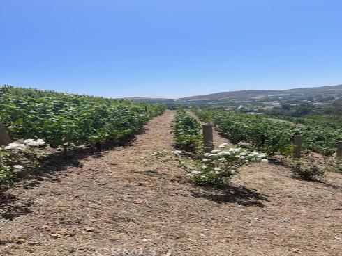 3202  Portico Del Norte  , San Clemente, CA