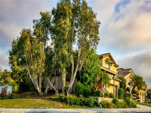 6 Avenida Fortuna , San Clemente, CA