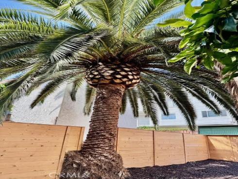 102  Trafalgar   Lane, San Clemente, CA