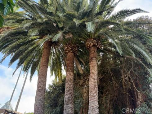 102  Trafalgar   Lane, San Clemente, CA