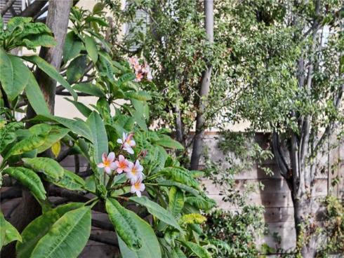 229 W Canada  , San Clemente, CA