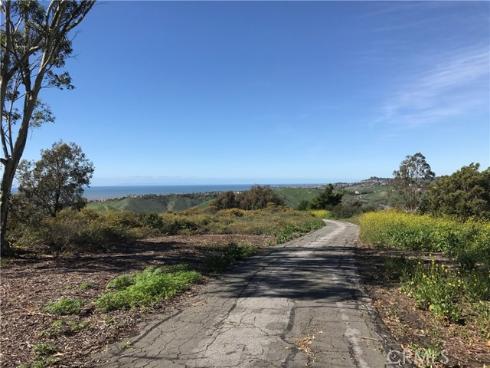 1023  Via Presa  , San Clemente, CA