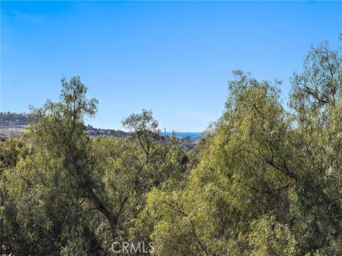 20 Via Paquete , San Clemente, CA