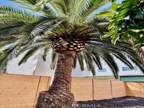 102  Trafalgar  , San Clemente, CA