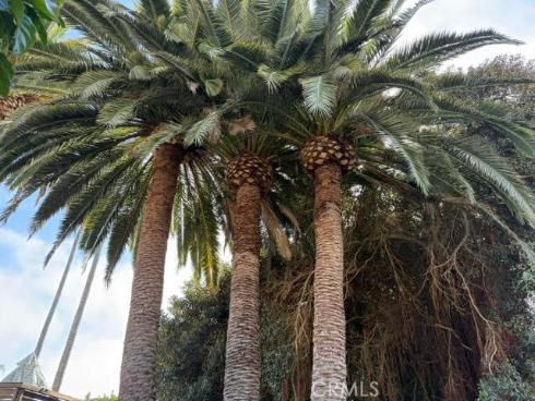 102  Trafalgar  , San Clemente, CA