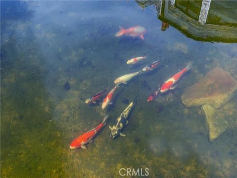 10 Strawberry Lane, San Juan Capistrano, CA