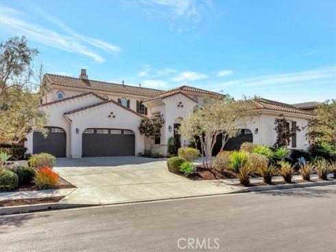 29310 Paseo Palmar , San Juan Capistrano, CA