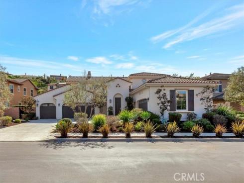 29310 Paseo Palmar , San Juan Capistrano, CA