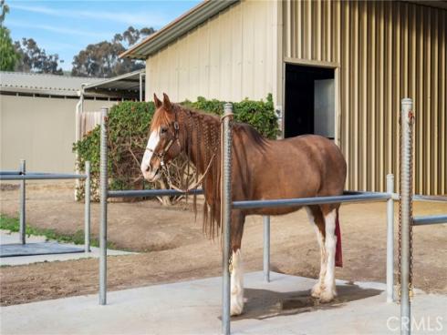 30651 Steeplechase Drive, San Juan Capistrano, CA