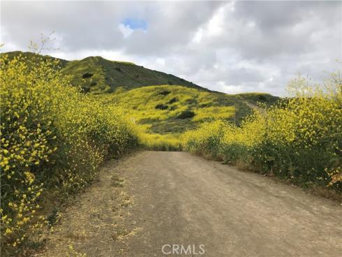 30161 Outpost Road , San Juan Capistrano, CA