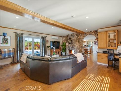 29546 Spotted Bull Lane, San Juan Capistrano, CA