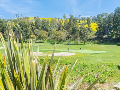 13  Plaza Baja del Sol  , San Juan Capistrano, CA